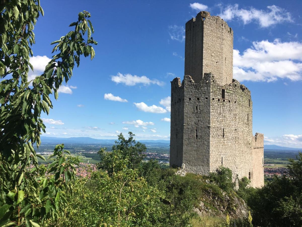 Au Nid De Cigogne Lägenhet Zellenberg Exteriör bild