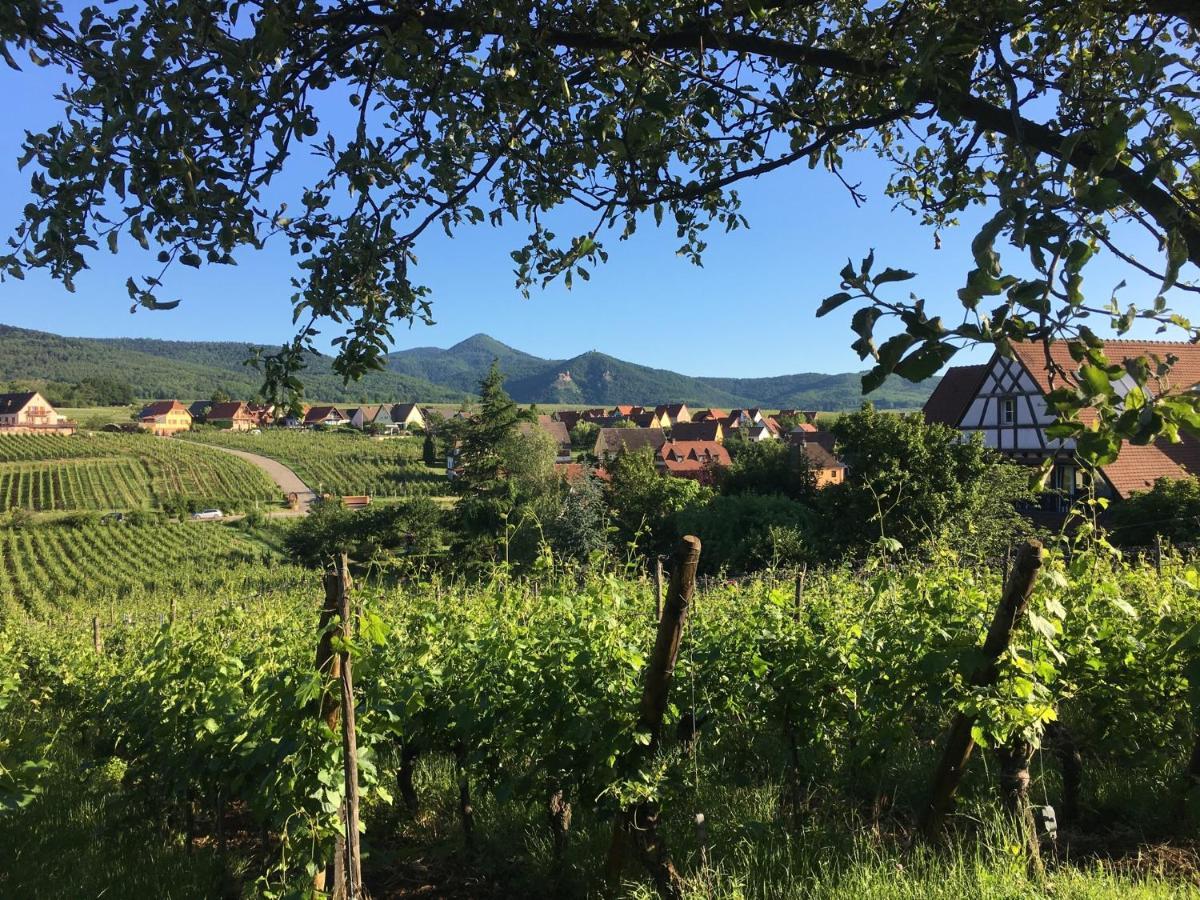 Au Nid De Cigogne Lägenhet Zellenberg Exteriör bild