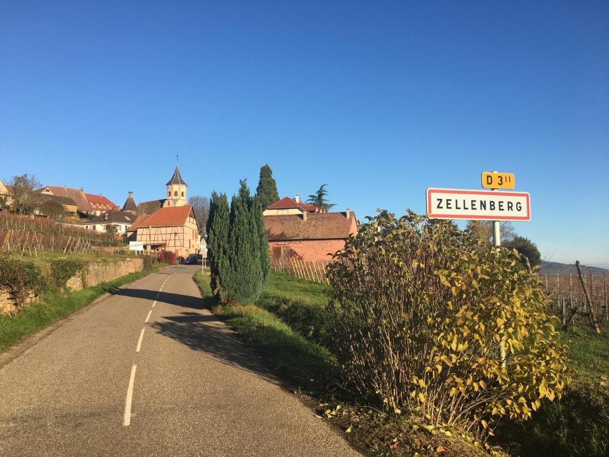 Au Nid De Cigogne Lägenhet Zellenberg Exteriör bild