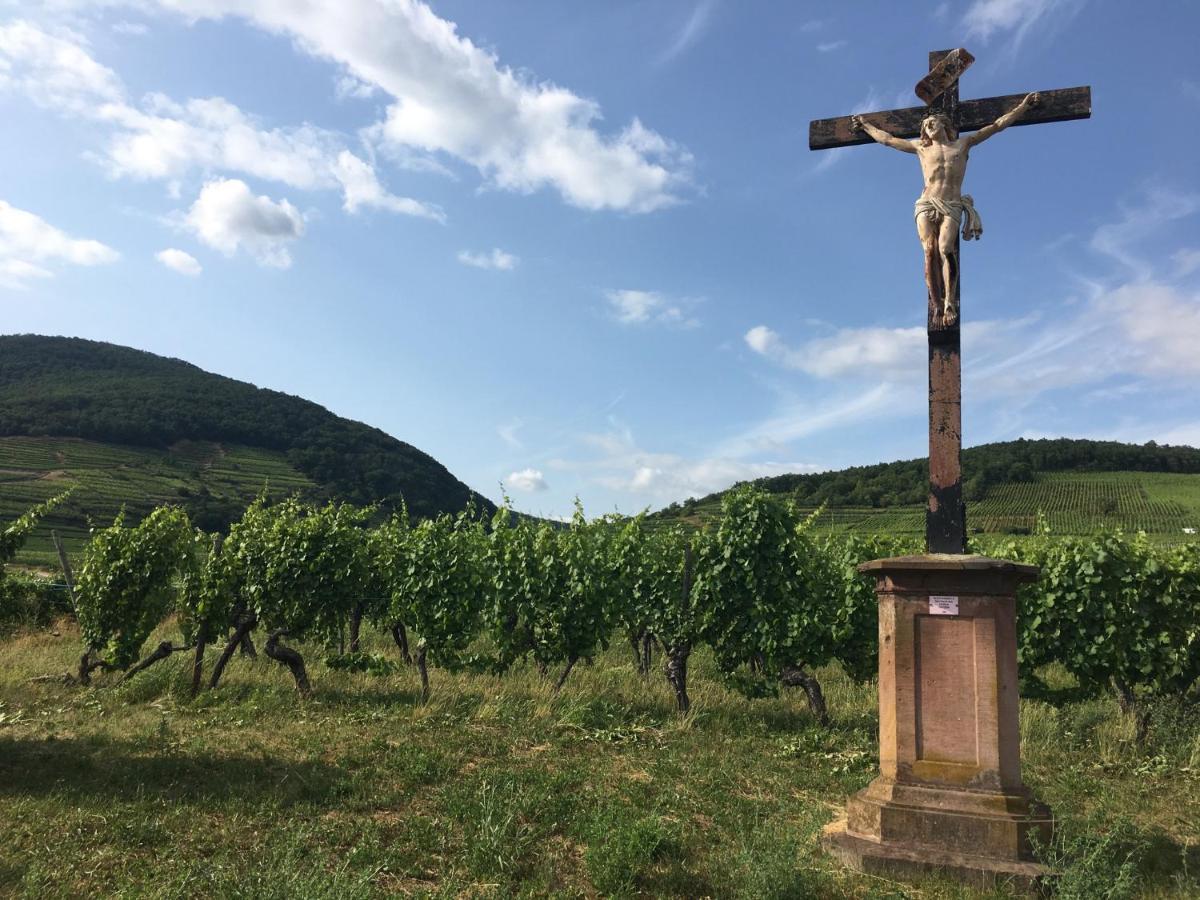 Au Nid De Cigogne Lägenhet Zellenberg Exteriör bild