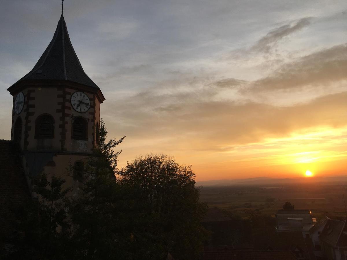 Au Nid De Cigogne Lägenhet Zellenberg Exteriör bild