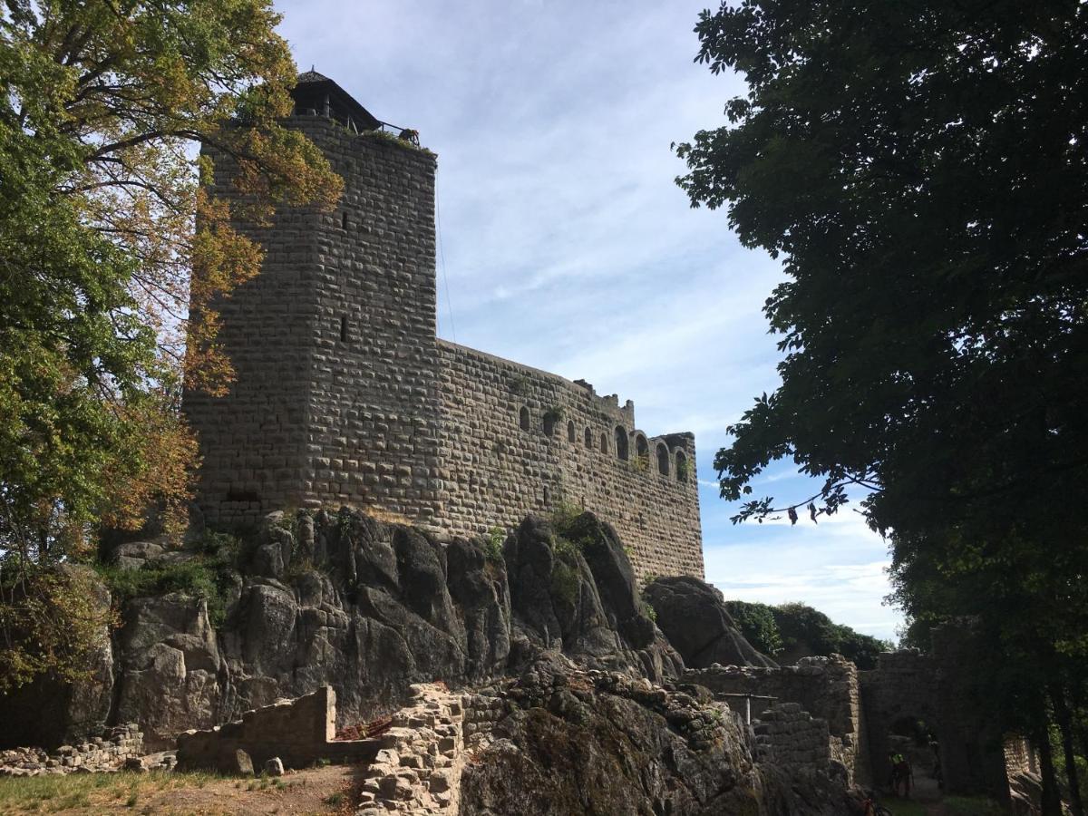 Au Nid De Cigogne Lägenhet Zellenberg Exteriör bild